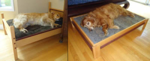 dog beds