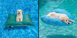 pet pool lounger