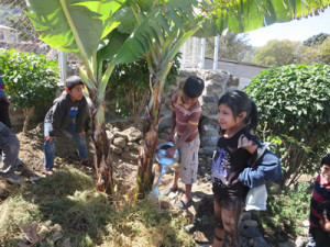 children with plants