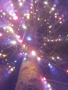 tree lights
