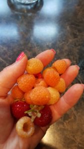 Carol M 3Raspberries & Strawberries Aug 13 2017